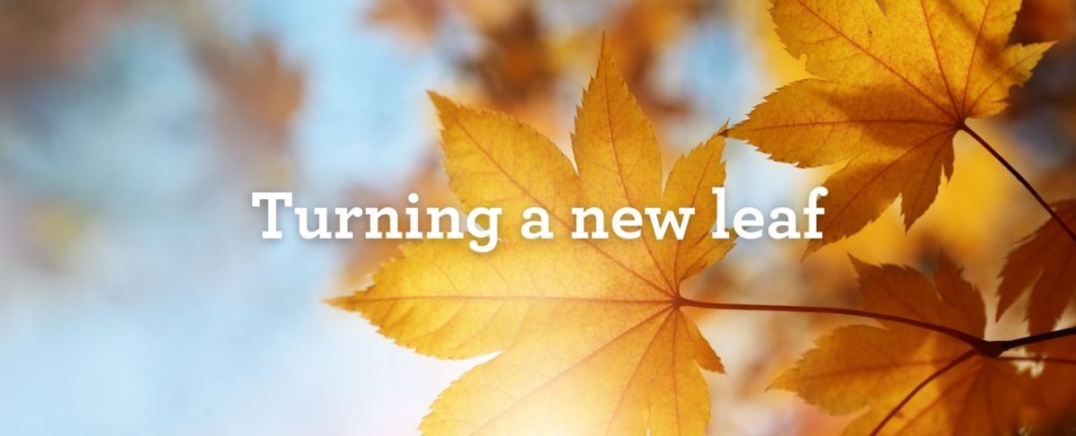 Autumn Shipping Forecast Web banner