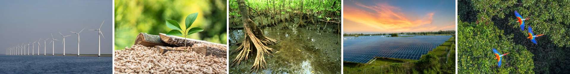 sustainable projects