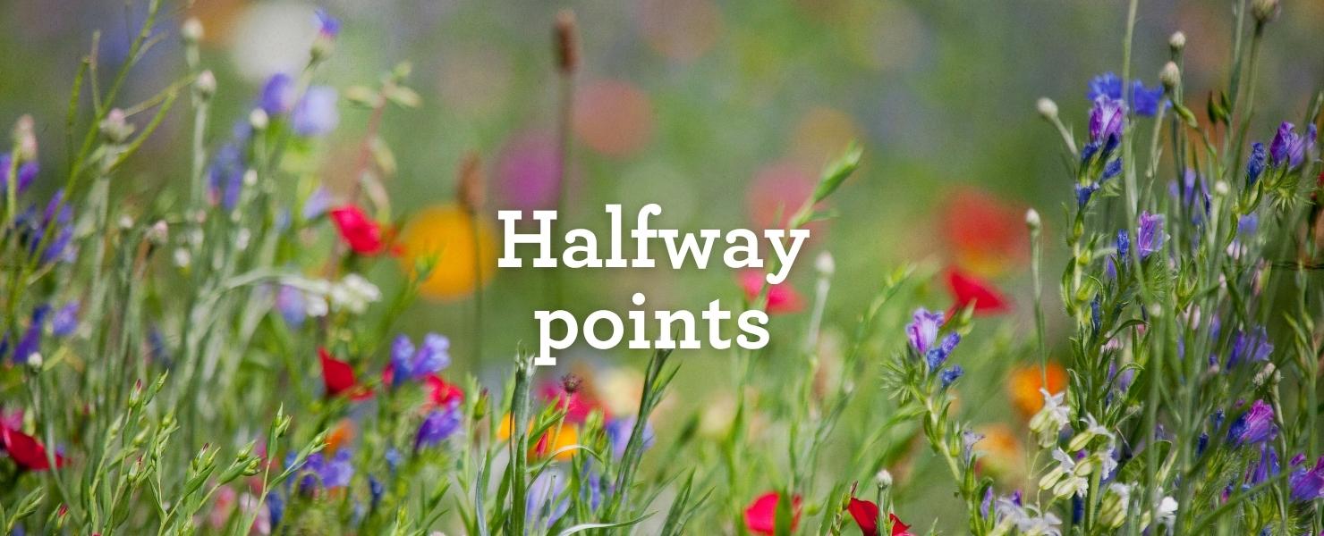 2025 GLL blog 4 June Midway Summary