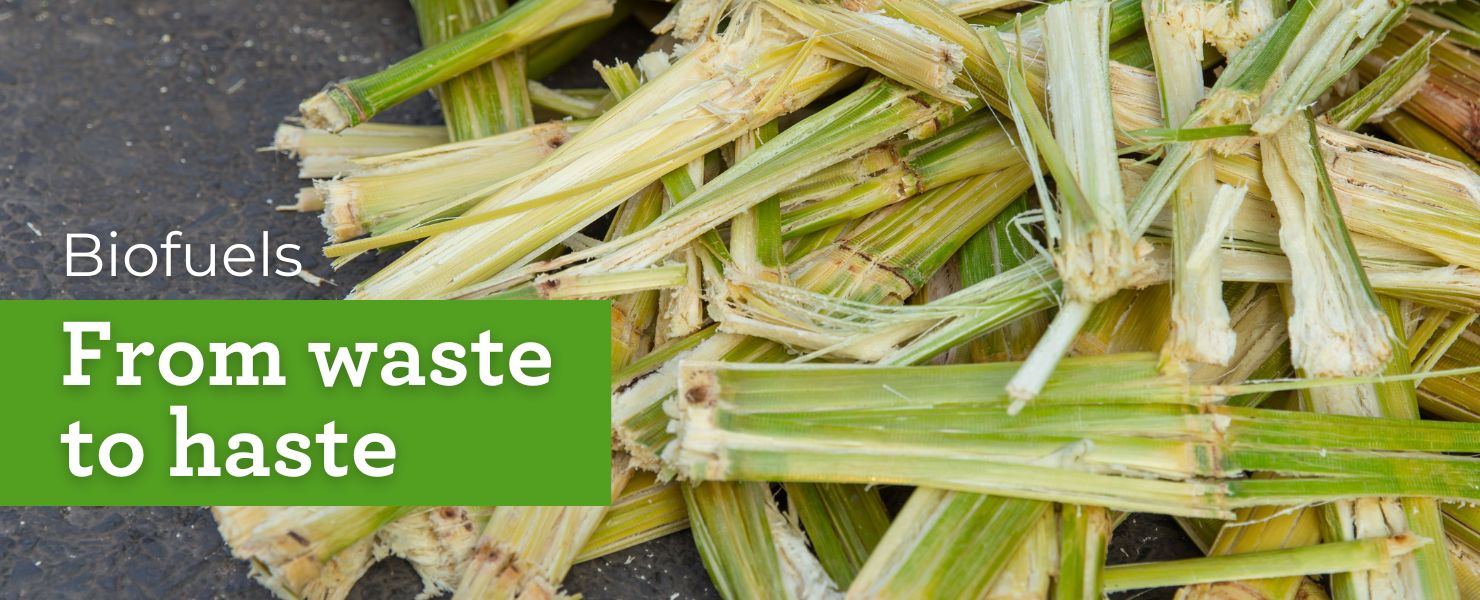 2025 GLL blog 3 July Biofuels