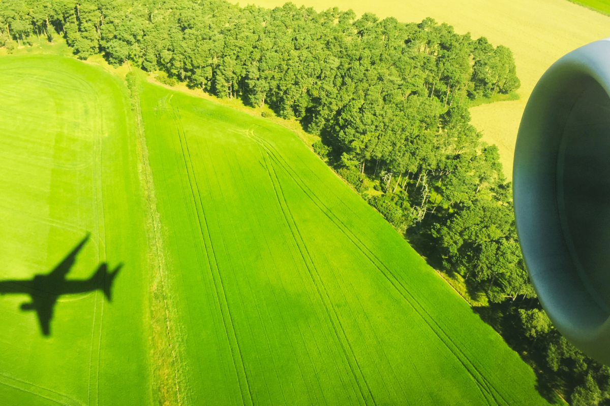 team behind green leaves logistics