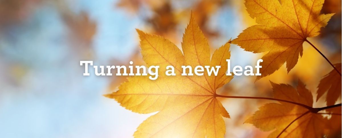 Autumn Shipping Forecast Web banner