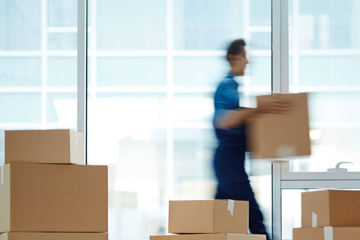 Green Leaves Logistics Birmingham courier services